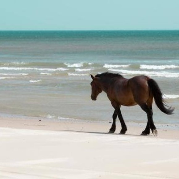 Meet your Posher, Barbara - Picture 1 of 1